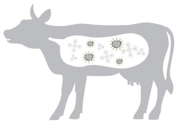 ����̿���Ʋ����������ϵ�y