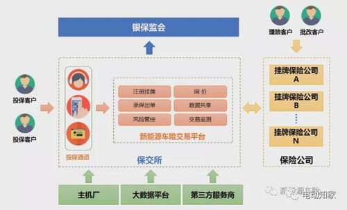 新能源車險(xiǎn)專屬交易平臺正式上線 保費(fèi)暴漲 圖片
